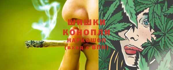 apvp Арсеньев