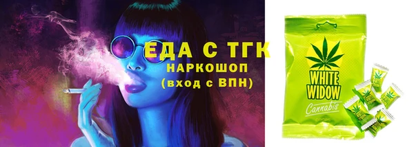 ешки Богданович