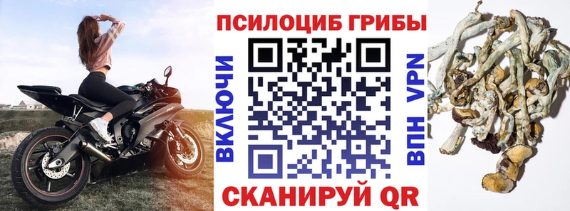 Галлюциногенные грибы прущие грибы  Джанкой 